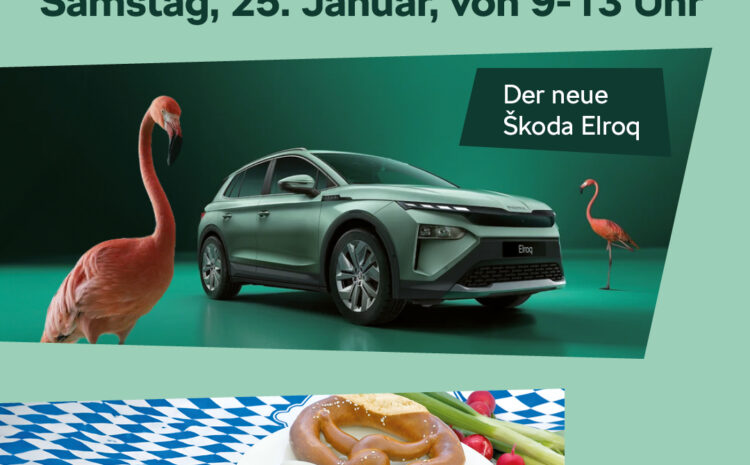  Škoda Buffet 2025